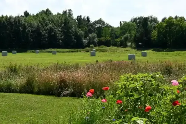 Tierschutzmaßnahmen werden in Niedersachsen gefördert | Foto: Gabi Hamann