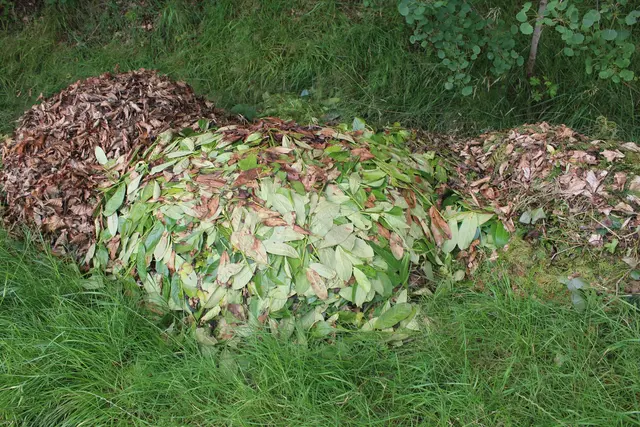Illegale abgekippte Grünabfälle aus dem Garten belasten die heimische Natur | Foto: pm