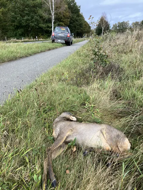 Foto: Bernard Wegner