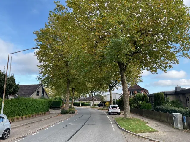 Der Delmer Bogen | Foto: Hansestadt Buxtehude