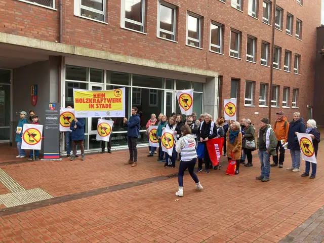 Demo gegen das geplante Holzkraftwerk in Stade | Foto: Jan Witt