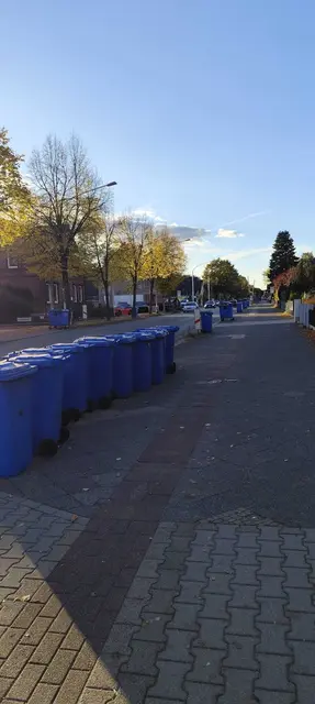 Die blauen Tonnen standen eine ganze Woche an der Lüneburger Straße, bevor sie abgeholt wurden | Foto: thl