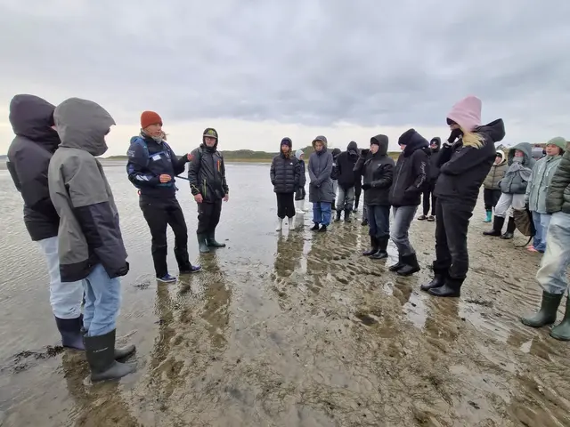 Exkursion ins Watt | Foto: Felix Pilz