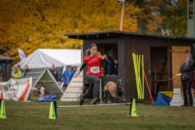 Caro und Ducky beim Hürdenlauf | Foto: Oliver Voß - Pfotenfotografie.de