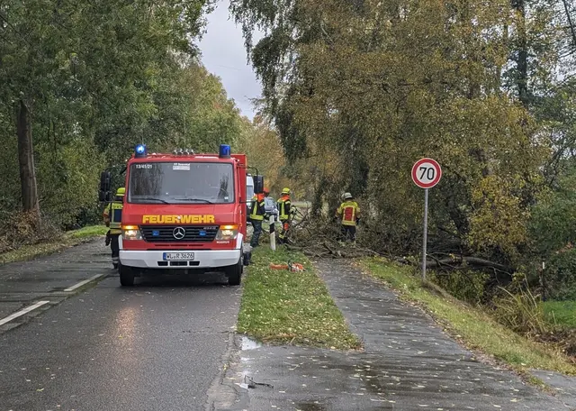In Hörsten beseitigte die Feuerwehr einen Baum, der auf die Straße und einen angrenzenden Radweg gestürzt war | Foto: Lukas Holthaus/Pressesprecher FF Hörsten