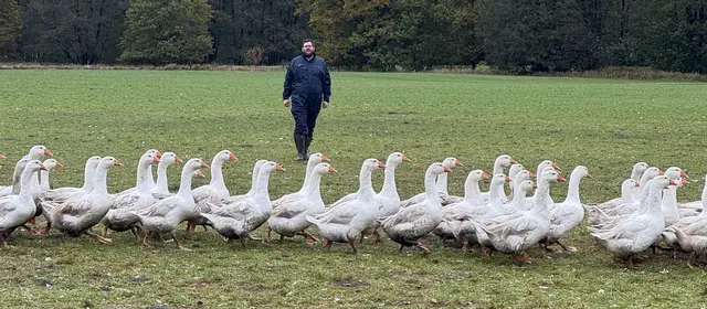 Friedrich Voß ist der "Gänsevater" auf dem Cassenshof | Foto: Cassenshof