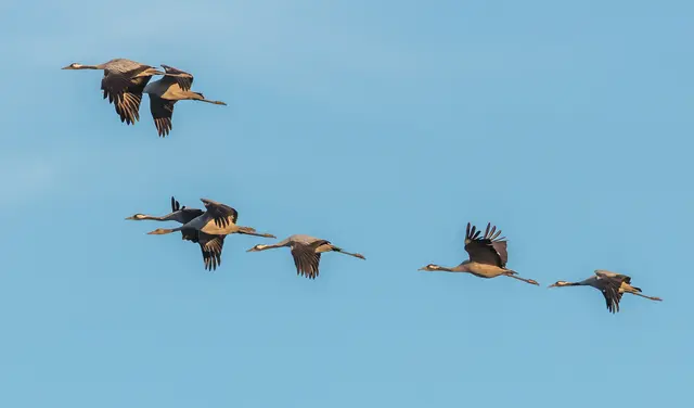 Foto:  Klaus Haase / Adobe Stock