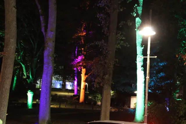 Der Niedersachsenplatz in bunt: Auch in diesem Jahr wird es die Beleuchtung wieder geben | Foto: pöp