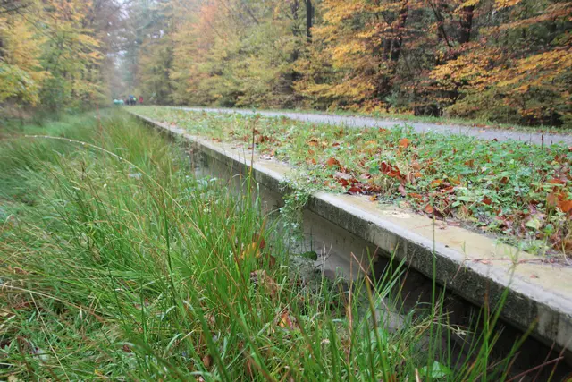  Blick entlang der Führungsrinne des Bauwerkes | Foto: Böttger NLF/Pilz ÖNSOR
