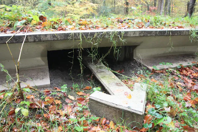  Blick in den Ein-/Ausgang Durchlassröhre für die Tiere | Foto: Böttger NLF/Pilz ÖNSOR