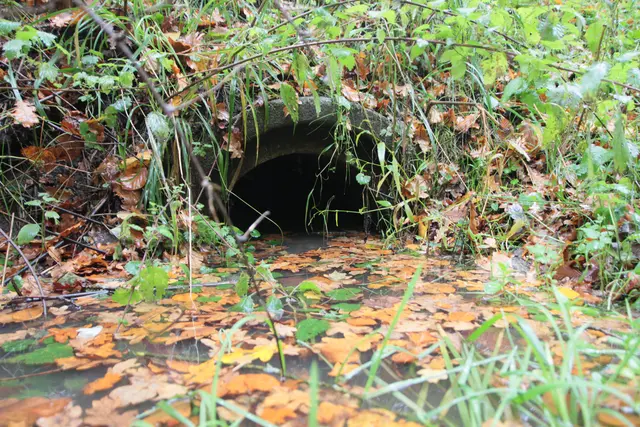 Öffnung des Wasserdurchlassrohres | Foto: Böttger NLF/Pilz ÖNSOR