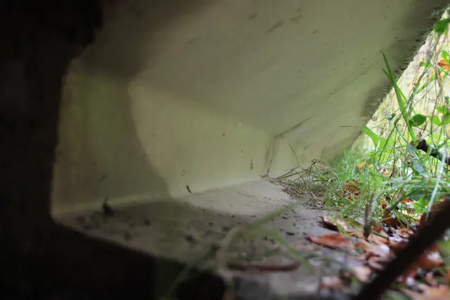 Blick in Führungstunnel entlang des Bauwerks | Foto: Böttger NLF/Pilz ÖNSOR