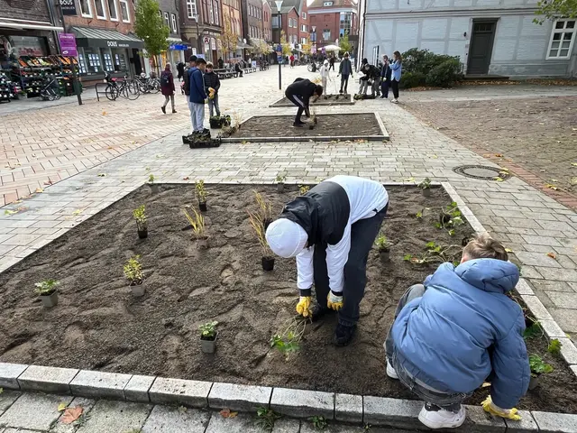 Zunächst mussten die Pflanzen anhand der Pflanz-Pläne der Schüler platziert werden | Foto: Stadt Winsen