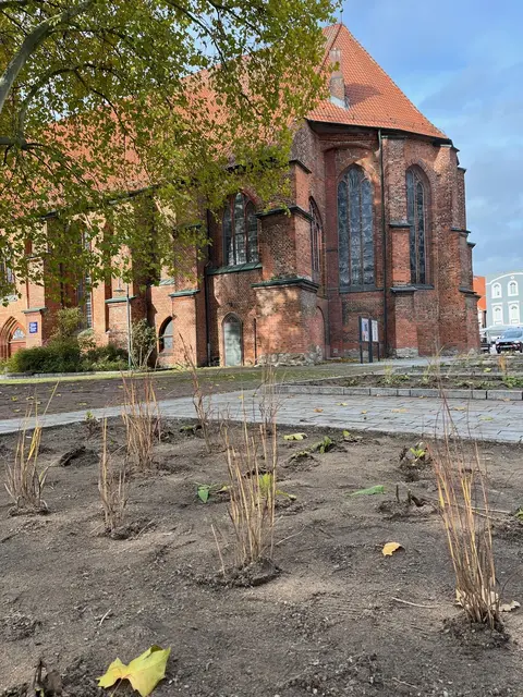 Noch etwas trist, aber im nächsten Frühjahr dann aufgewertet und grün - die von den Schülern bepflanzten Beete in Winsens Innenstadt | Foto: Stadt Winsen