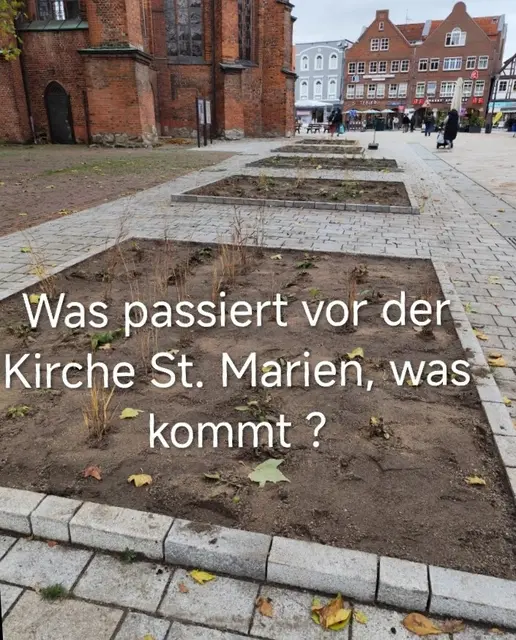 Blick auf die frisch bepflanzten Beete. | Foto: Rüdiger Störtebecker