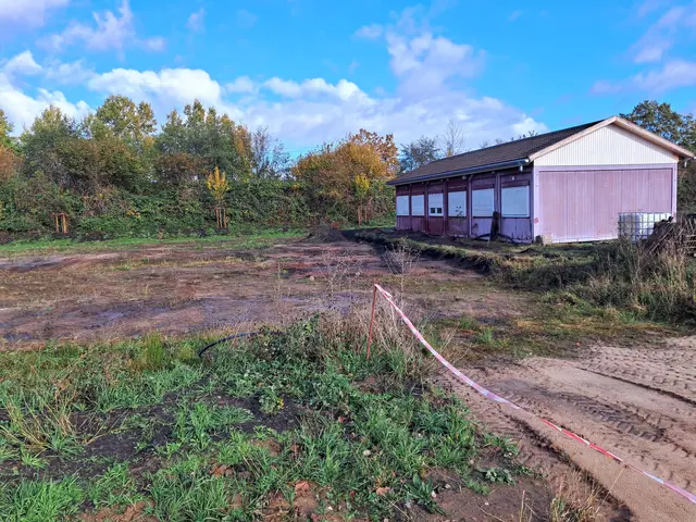 Hier entstehen demnächst zwei Tennisplätze  | Foto: Anika Werner