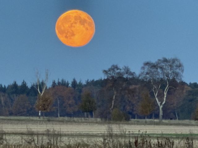 Magischer Moment in der Dämmerung: Der Supermond über unserer Region – am heutigen Donnerstag auch beim Spaziergang noch gut zu sehen | Foto: tml