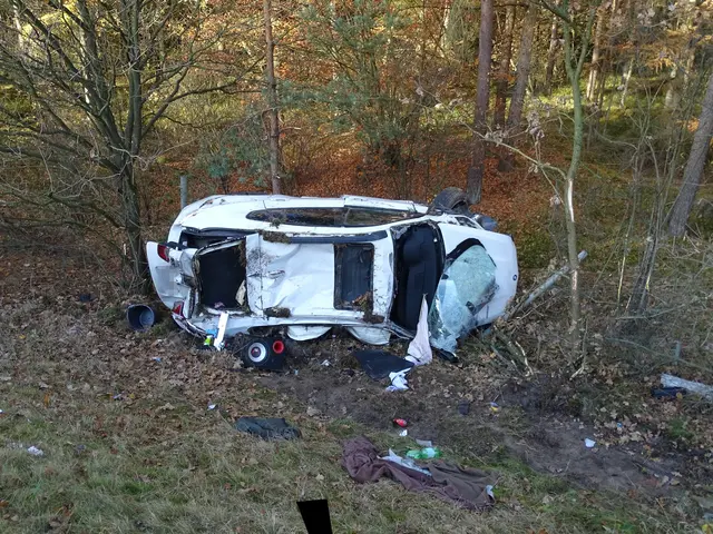 Der verunglückte BMW stürzte eine drei Meter tiefe Böschung hinab | Foto: Freiwillige Feuerwehr Samtgemeinde Hanstedt 