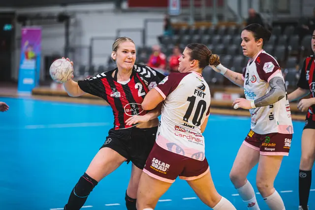 Foto: HL Buchholz 08-Rosengarten