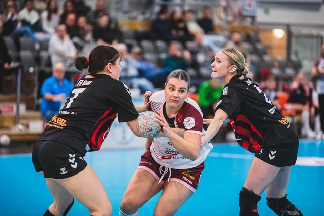 Foto: HL Buchholz 08-Rosengarten