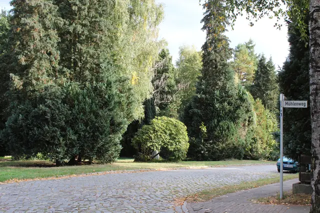 Das parkähnliche Wäldchen mitten im Wohngebiet am Mühlenweg | Foto: sb