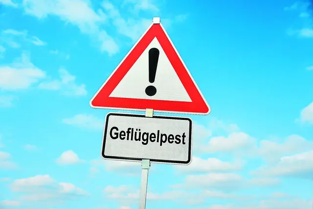 Foto: stock.adobe.comnmann77