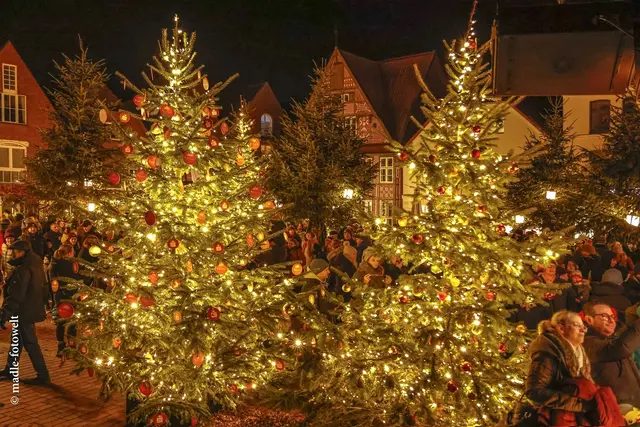 Der Winterwald | Foto: madle Fotowelt