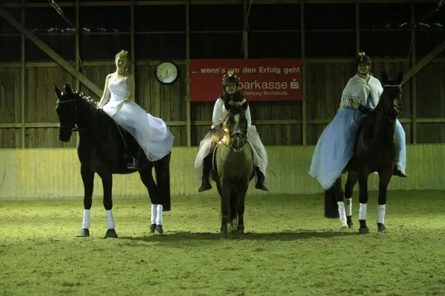 Die Reiter des Reit- und Fahrvereins Tostedt führen und begleiten den Lichterzauberumzug am Sonntagabend | Foto: Bianca Sieler