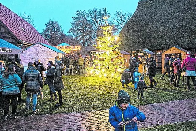 Die festlich beleuchtete Weihnachtstanne | Foto: Lutz Schadeck