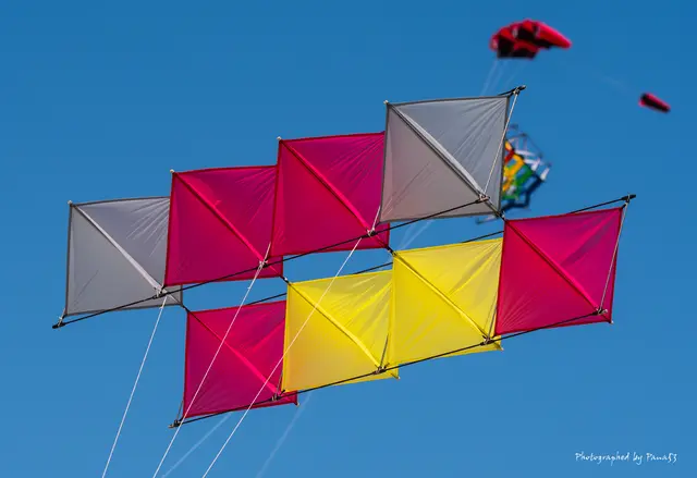 Zellendrachen | Foto: Pana53_Frank_Hoffmann