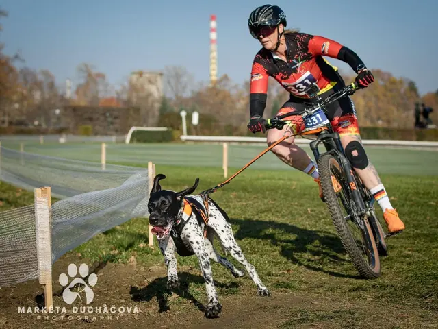 Foto: Marketa Duchacova