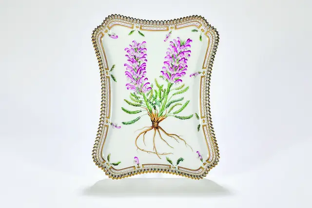 Flora Danica (Royal Copenhagen) | Foto: Rüdiger Fritsche