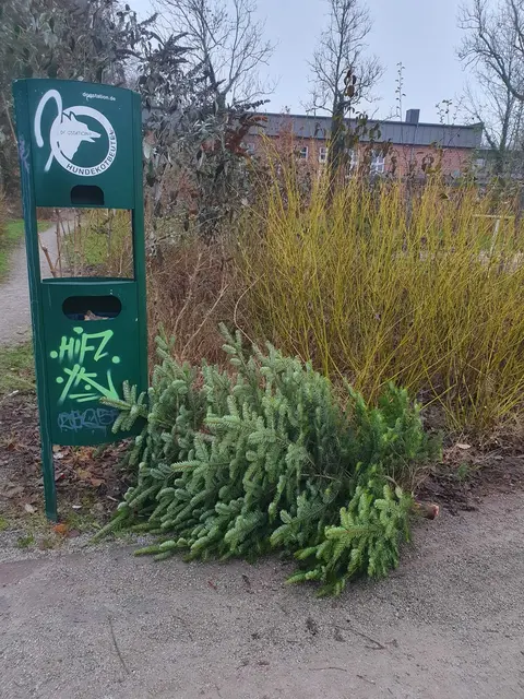 Ein andere Tannenbaum wurde quer durch den Park geworfen | Foto: Yvonne Schindler