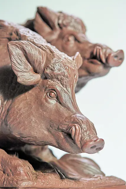 Wildschweingruppe, Moritzburg (Meissen) | Foto: Rüdiger Fritsche