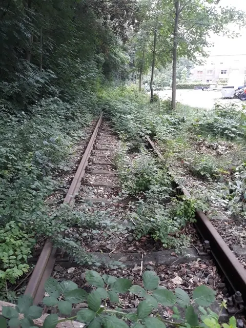 Der aktuelle Zustand des Bahngleises in Ottenbeck, das wieder instandgesetzt werden soll | Foto: Hansestadt Stade