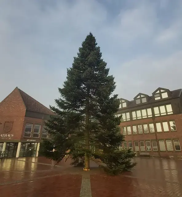 Der diesjährige Weihnachtsbaum stammt aus der Gemeinde Asendorf | Foto: Gemeinde Neu Wulmstorf