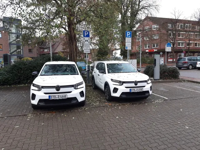 Car-Sharing-Angebot startet: Zwei neue E-Autos stehen in Buchholz bereit  | Foto: Stadt_Buchholz
