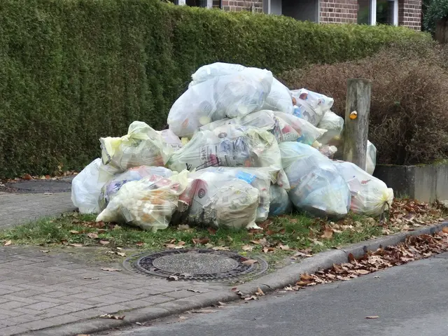 Nicht schön: Gelbe-Säcke-Haufen in der Kleckener Poststraße | Foto: pöp