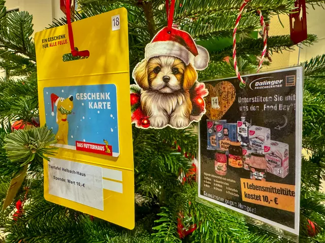 Der Wunschbaum im Hittfelder Rathaus | Foto: Gemeinde Seevetal