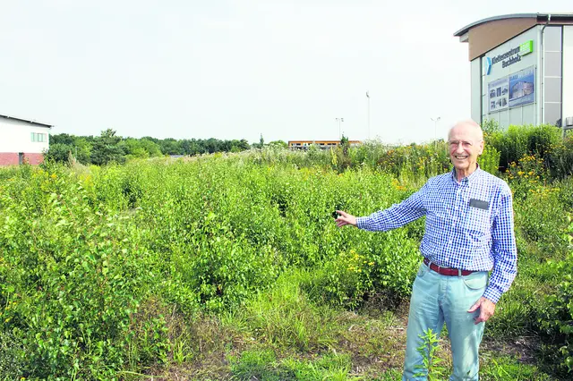 Hier soll die neue Halle hin - zeigte Arno Reglitzky zwischen Nordheidehalle (li.), BW-Sportzentrum (Mi.) und Kletterturm im Jahr 2015 | Foto: os