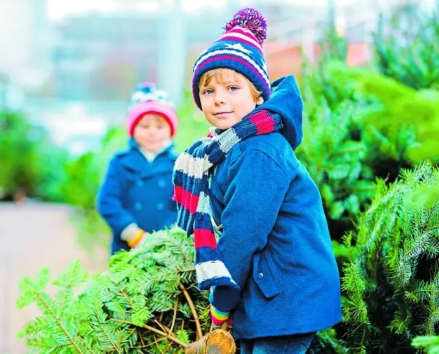 Kinder haben viel Spaß beim Weihnachtsbaumkauf | Foto: AdobeStock /Irina Schmidt