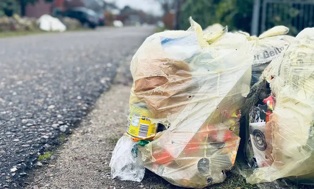 Aufgehackte gelbe Säcke am Straßenrand in Heidenau – im Hintergrund weitere unschöne Haufen liegengebliebener Säcke | Foto: tml