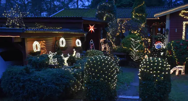 Kinder bleiben im Grenzweg gerne stehen und bewundern die Lichterfiguren | Foto: Axel-Holger Haase