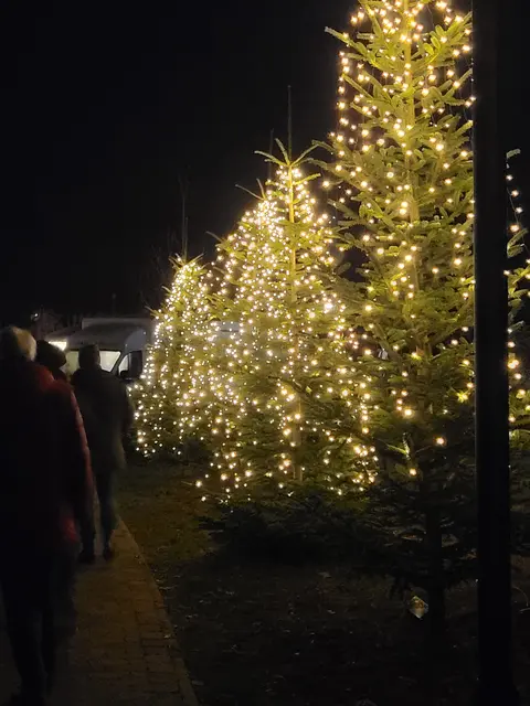 Der gesamte Park Am Sande war ein Lichtermeer | Foto: sh