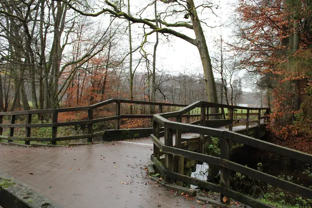 Die zwölf Meter lange Seevebrücke am Emil-Bartz-Weg ist ein viel genutzter Schulweg und beliebter Spazierweg vom Stubbenhof aus | Foto: pöp