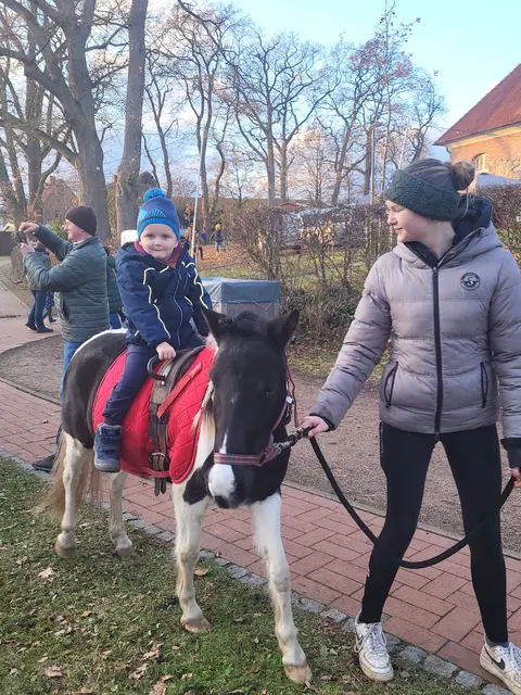 Ponyreiten in Bargstedt | Foto: wd