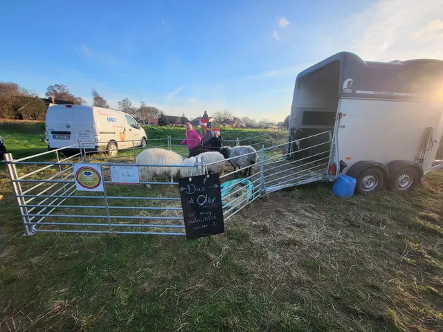 Beim Weihnachtsmarkt in Ahlerstedt gab es viel zu sehen | Foto: wd