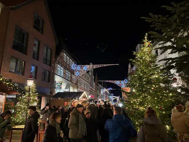 Volle Straßen in der Buxtehuder Innenstadt | Foto: pau