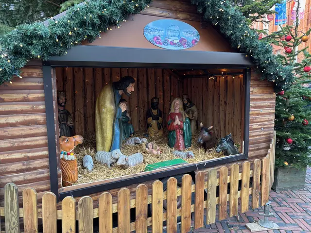 Eine Krippe ist am Rathausplatz in Buxtehude aufgestellt | Foto: pau