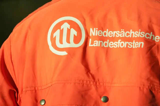 Symbolbild | Foto: NLF